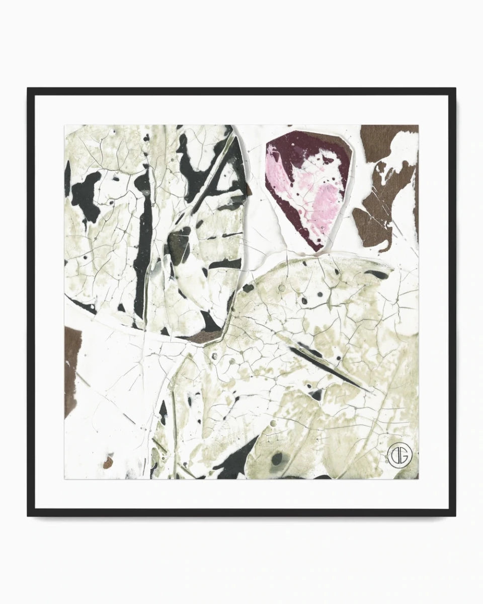 32" x 32" / Black Maple / Framed Paper