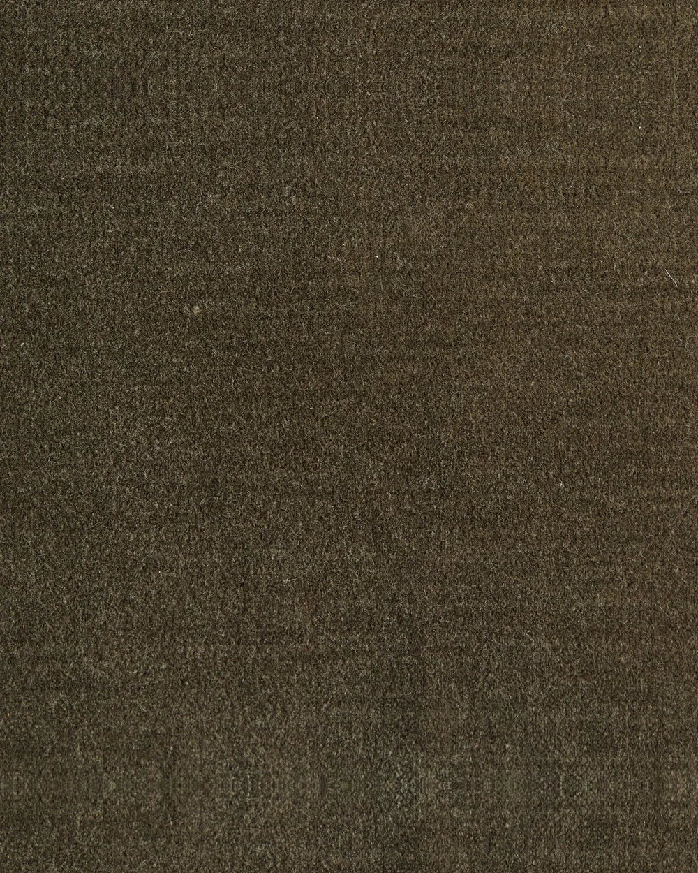 Monte Olive / 16" x 24" / Cover + Insert