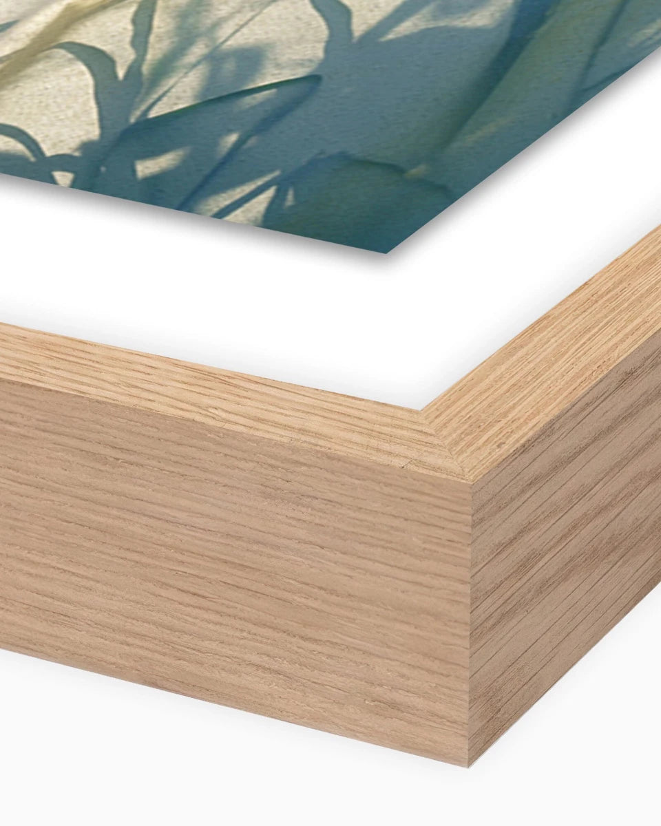 48" x 72" / White Oak