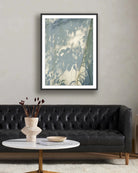 24" x 32" / Black Maple