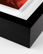 32" x 24" / Black Maple
