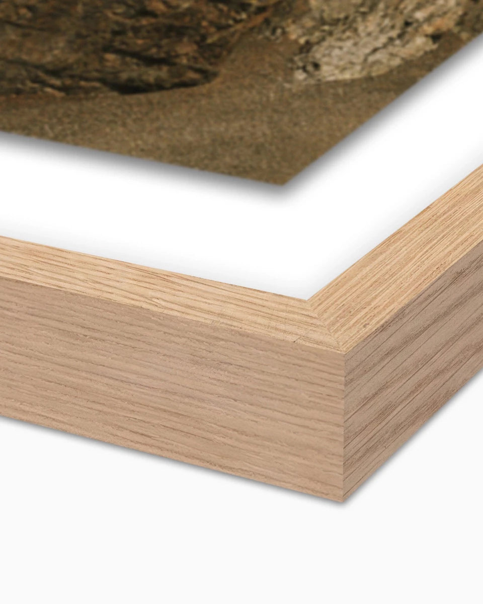 18" x 24" / White Oak