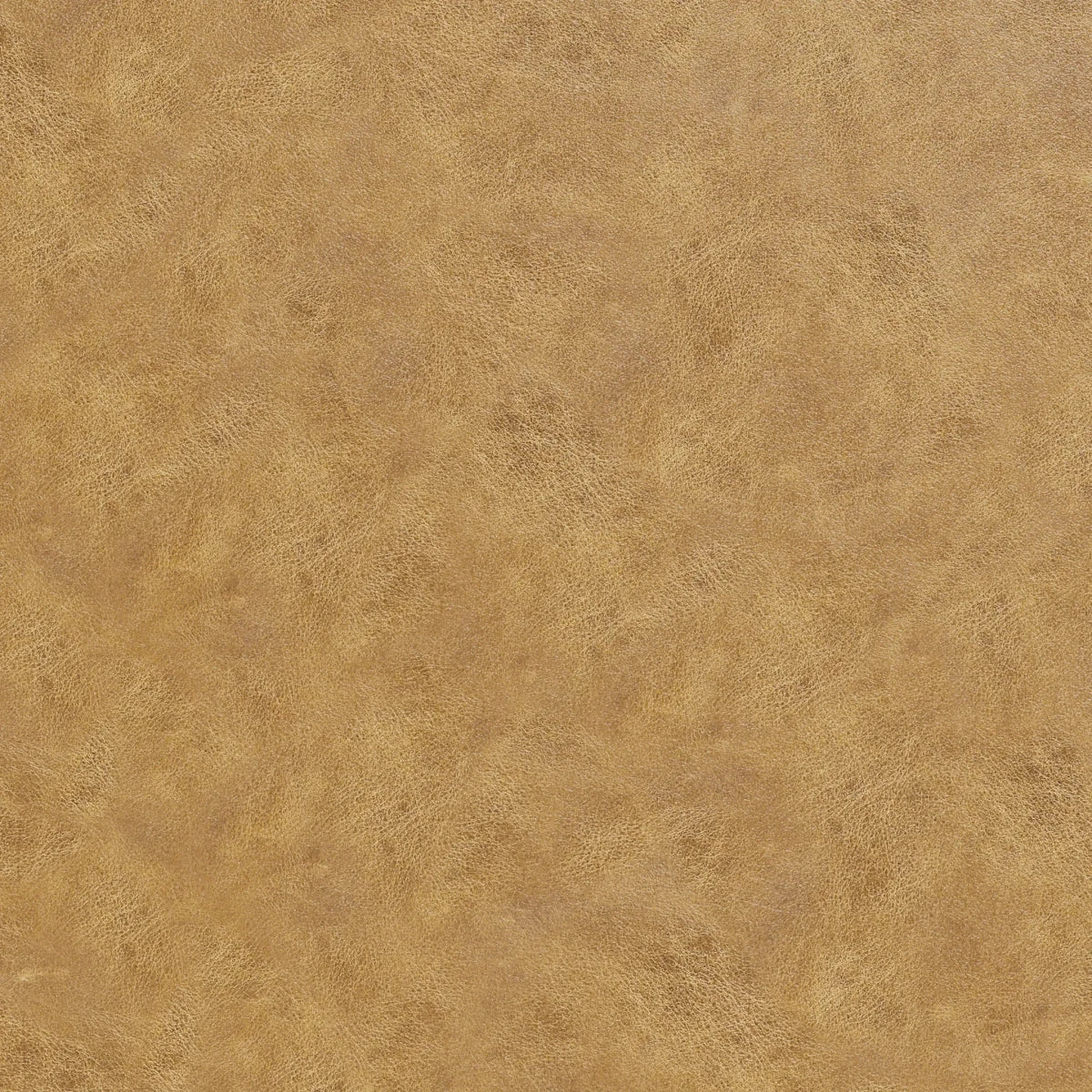 Tan leather with textured surface and natural variations throughout.